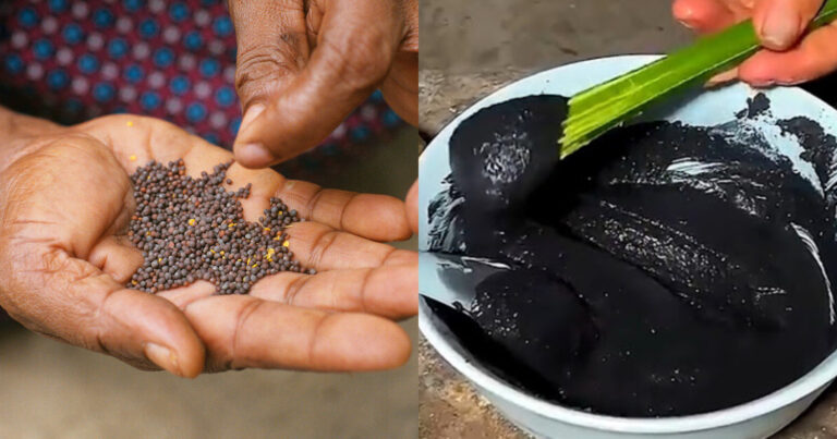 Mustard Herbal Hair Dye