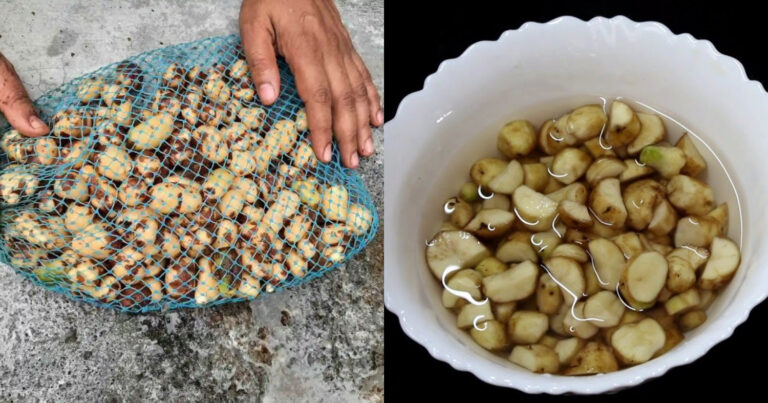 Perfect And Easy koorkka Cleaning