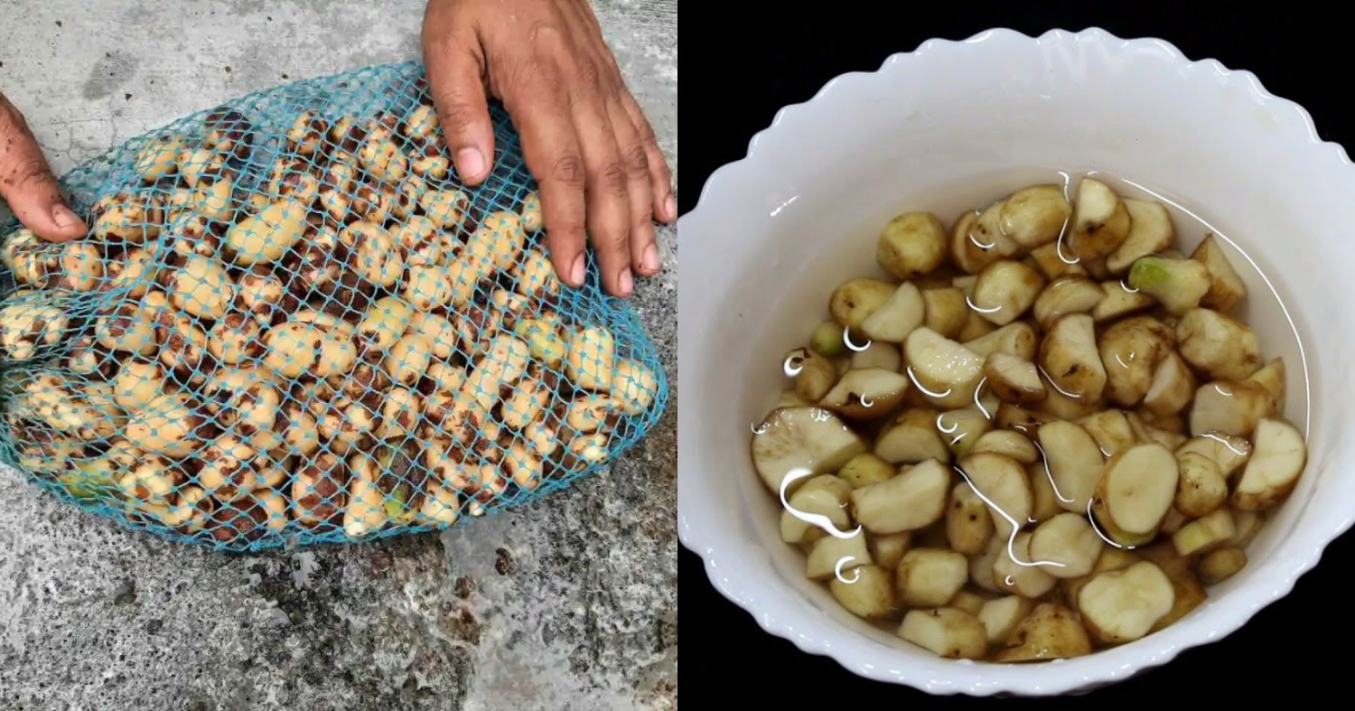 Perfect And Easy koorkka Cleaning