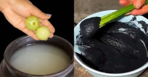 Rice Water Gooseberry Natural Hair Dye