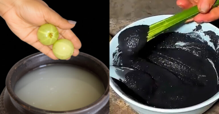 Rice Water Gooseberry Natural Hair Dye