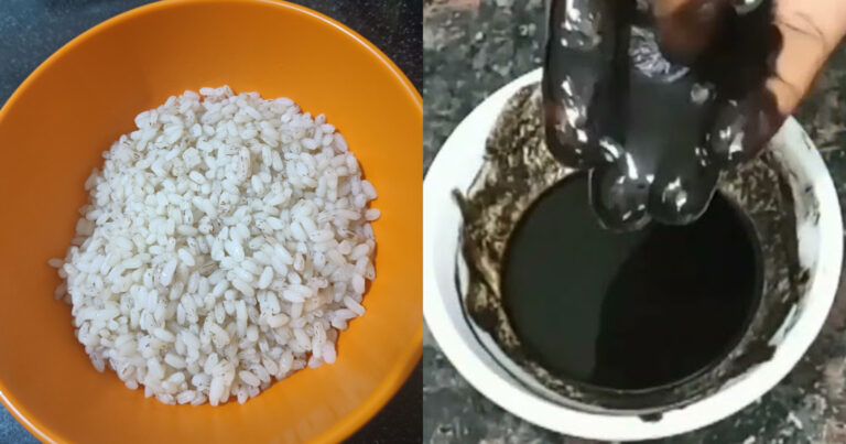 Natural Hair Dye Using Rice