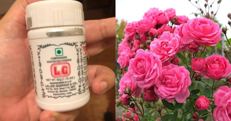 Plants Flowering Tips