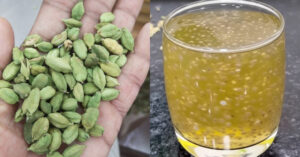 Cardamom Health Benefits