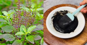 Hair Dye Treatment Using Basil Leaves