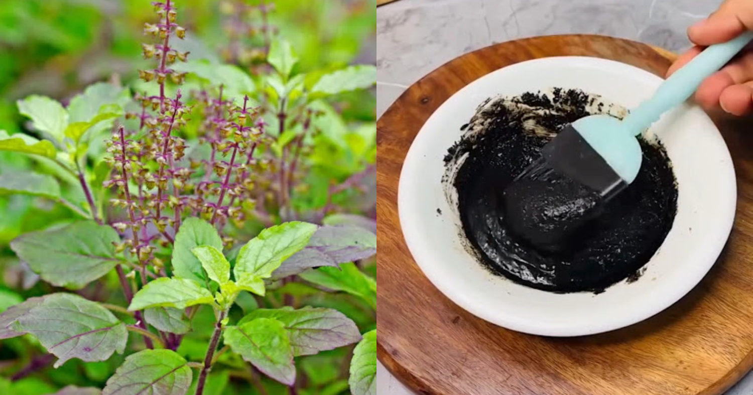 Hair Dye Treatment Using Basil Leaves