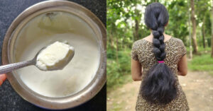 Hair Growth Treatment Using Curd