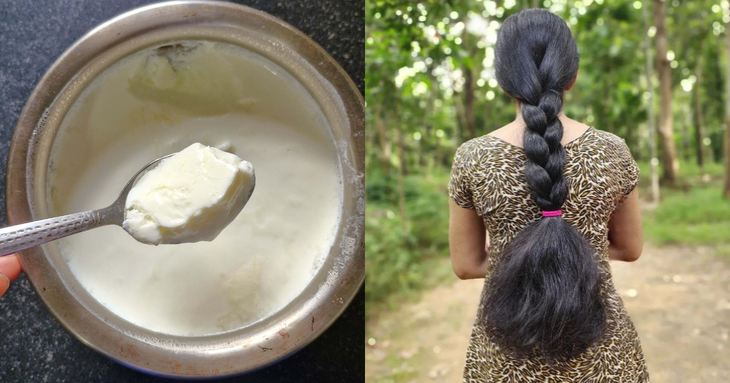 Hair Growth Treatment Using Curd