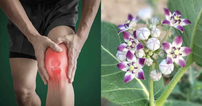 Knee Pain Treatment At Home