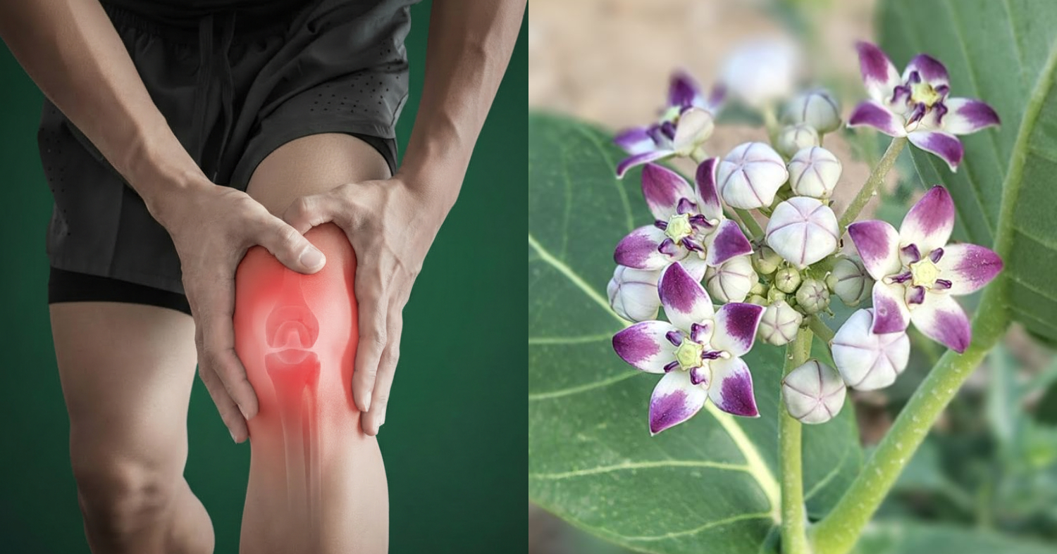 Knee Pain Treatment At Home