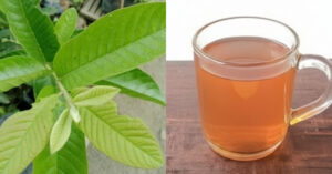 Sugar Cholesterol Treatment At Home