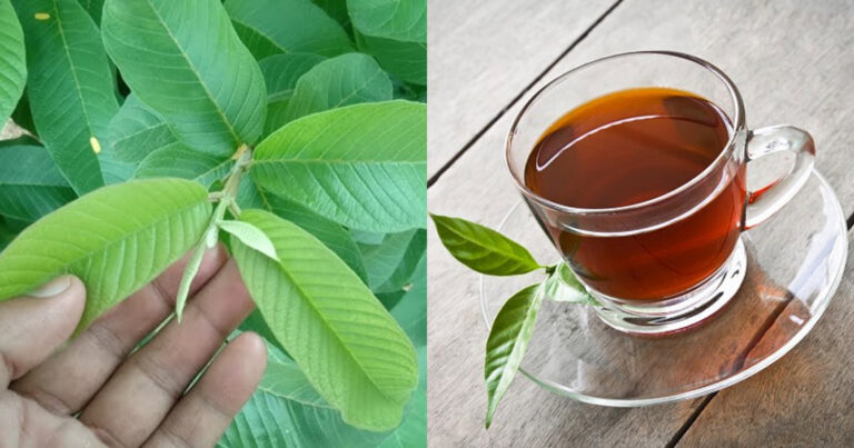 Sugar Uric Acid Treatment