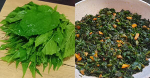 cholesterol Sugar Relief Leaf