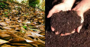 How to Make Compost Easily