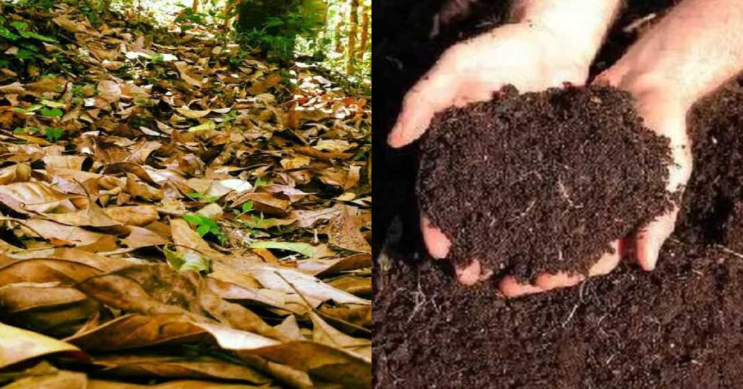 How to Make Compost Easily
