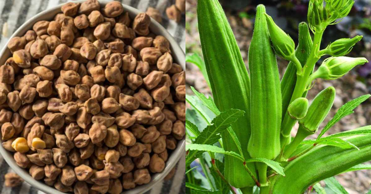 Easy Ladies Finger Krishi Tips