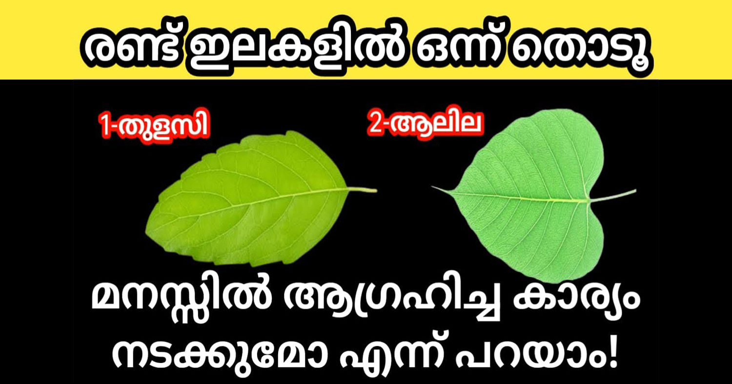 Touch One Leaf To Realize Will Your Wish Come True
