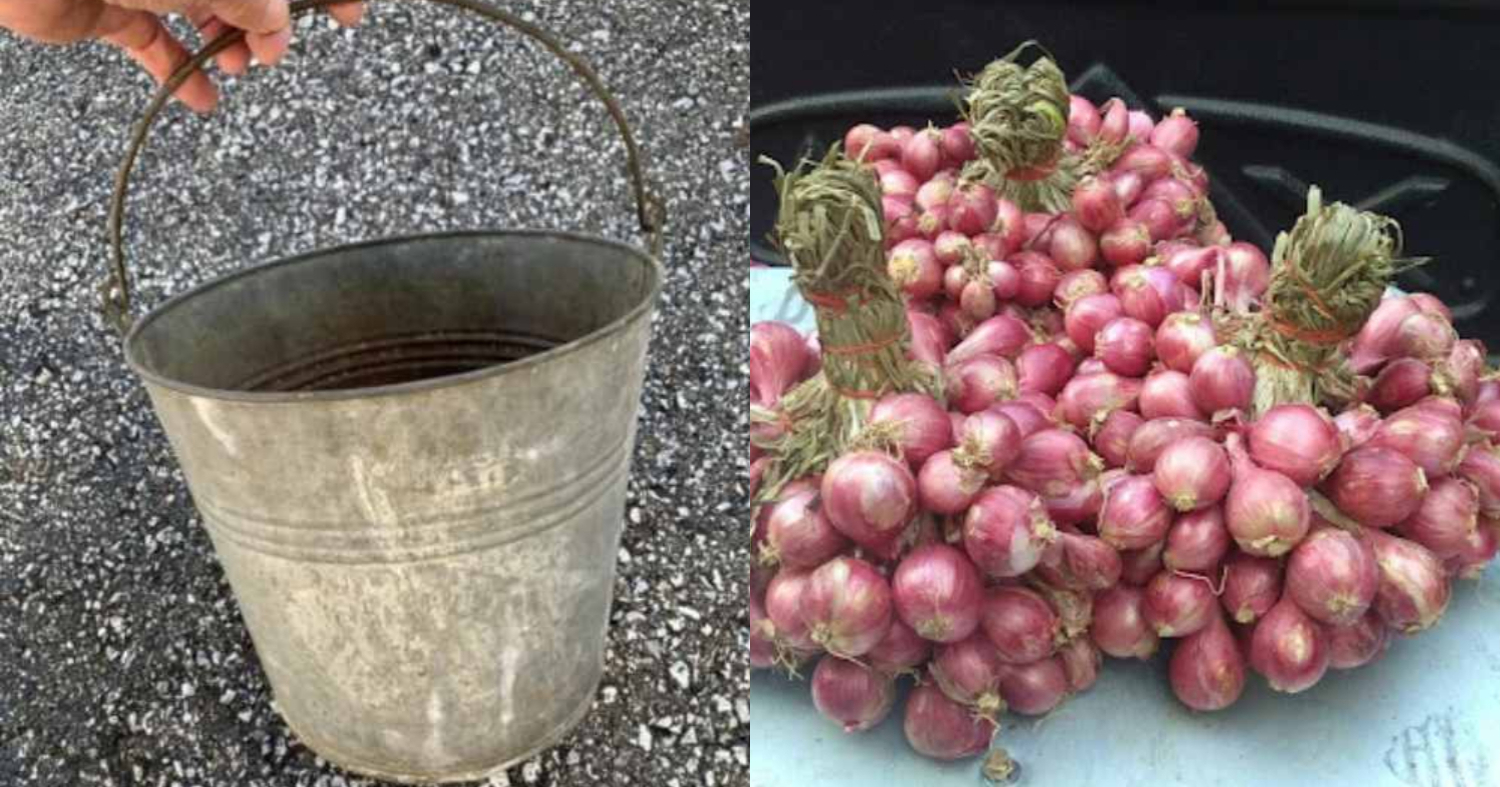 Small Onion Cultivation Tips